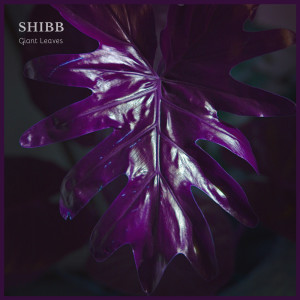 Album Giant Leaves oleh Shibb