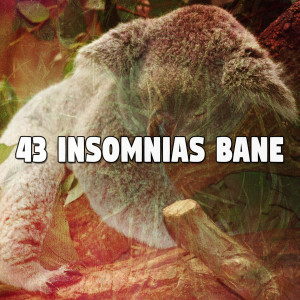 Nature Sounds Nature Music的專輯43 Insomnias Bane