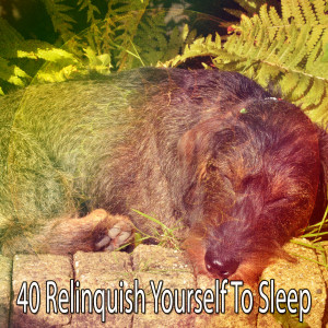 收听White Noise For Baby Sleep的Forty Winks歌词歌曲