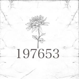 Album 197653 from 醒山AwakeMountains
