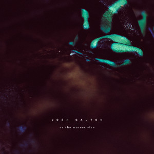 Listen to As the Waters Rise song with lyrics from Josh Gauton