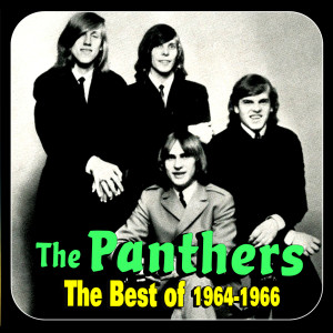 ดาวน์โหลดและฟังเพลง I'm The Best พร้อมเนื้อเพลงจาก The Panthers