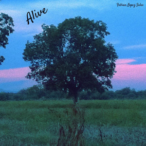 Listen to You Are My Angel song with lyrics from Fabián López Salas