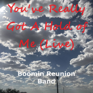 Album You've Really Got a Hold On Me (Live) from Boomin Reunion Band
