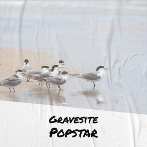 收听Veneta Sart的Hopefully Infant歌词歌曲