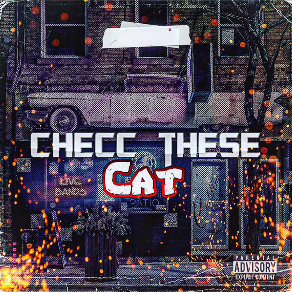 Checc These Cat (Explicit)