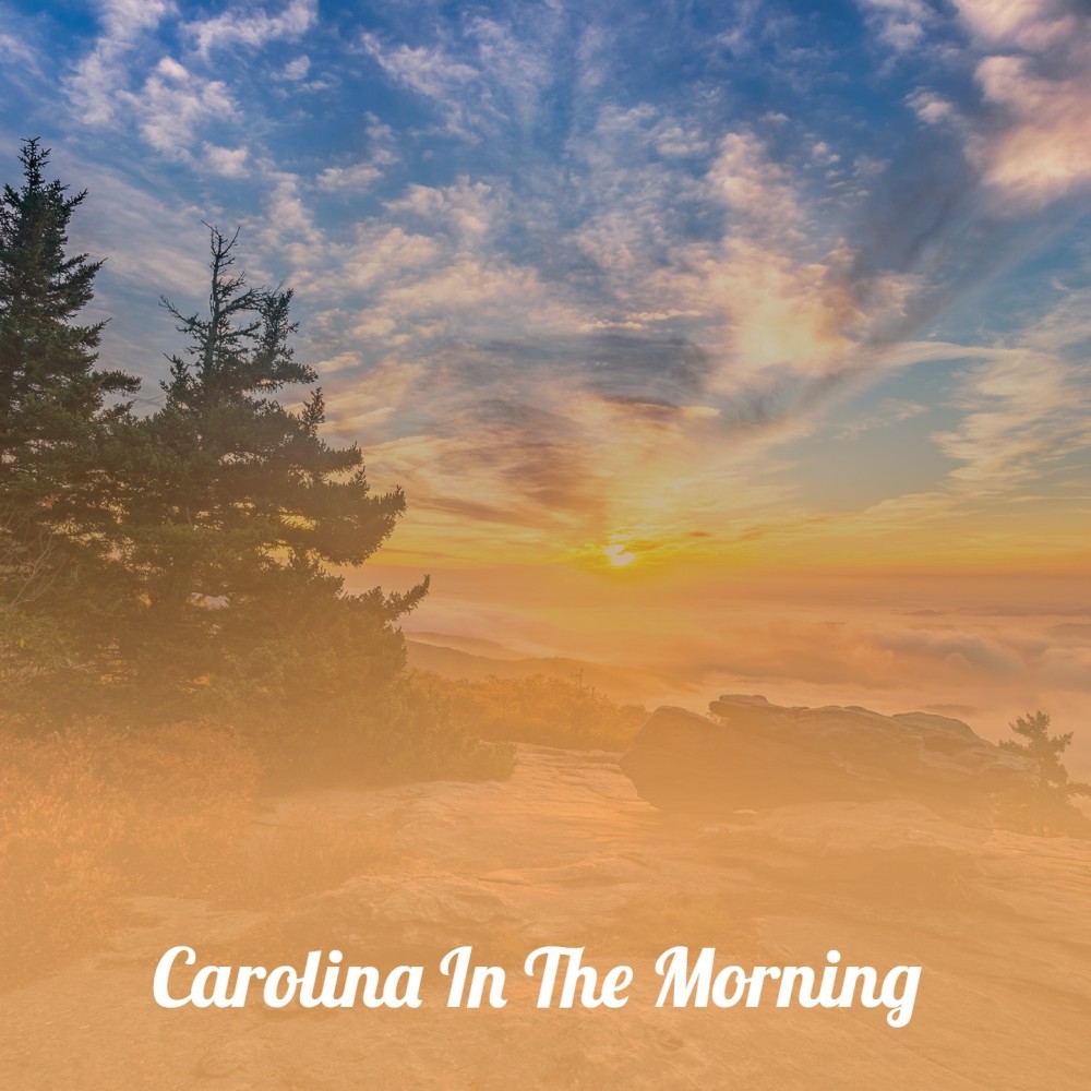 Carolina in the Morning