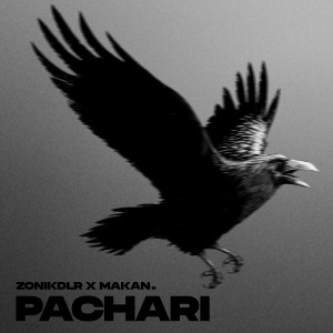 Listen to Pachari song with lyrics from ZONIKDLR