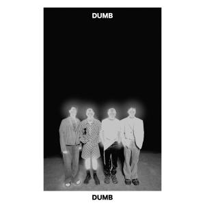 傻子與白癡的專輯Dumb