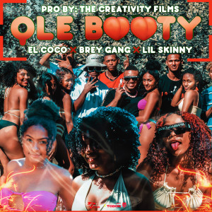 ดาวน์โหลดและฟังเพลง Qle Booty พร้อมเนื้อเพลงจาก Brey Gang