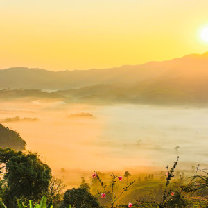 Listen to Meditation Music song with lyrics from Deep Sleep