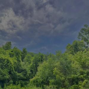 收聽bolive.的Windows (feat. Beanie God) (Goop Week 7)歌詞歌曲