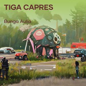 Album Tiga Capres oleh Bunga aulia