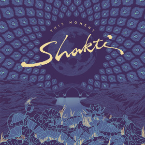 Album This Moment from Shakti