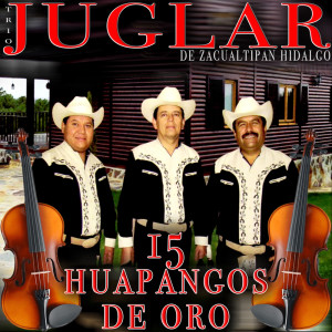 15 Huapangos de Oro dari Trio Juglar De Zacuaitipan Hidalgo