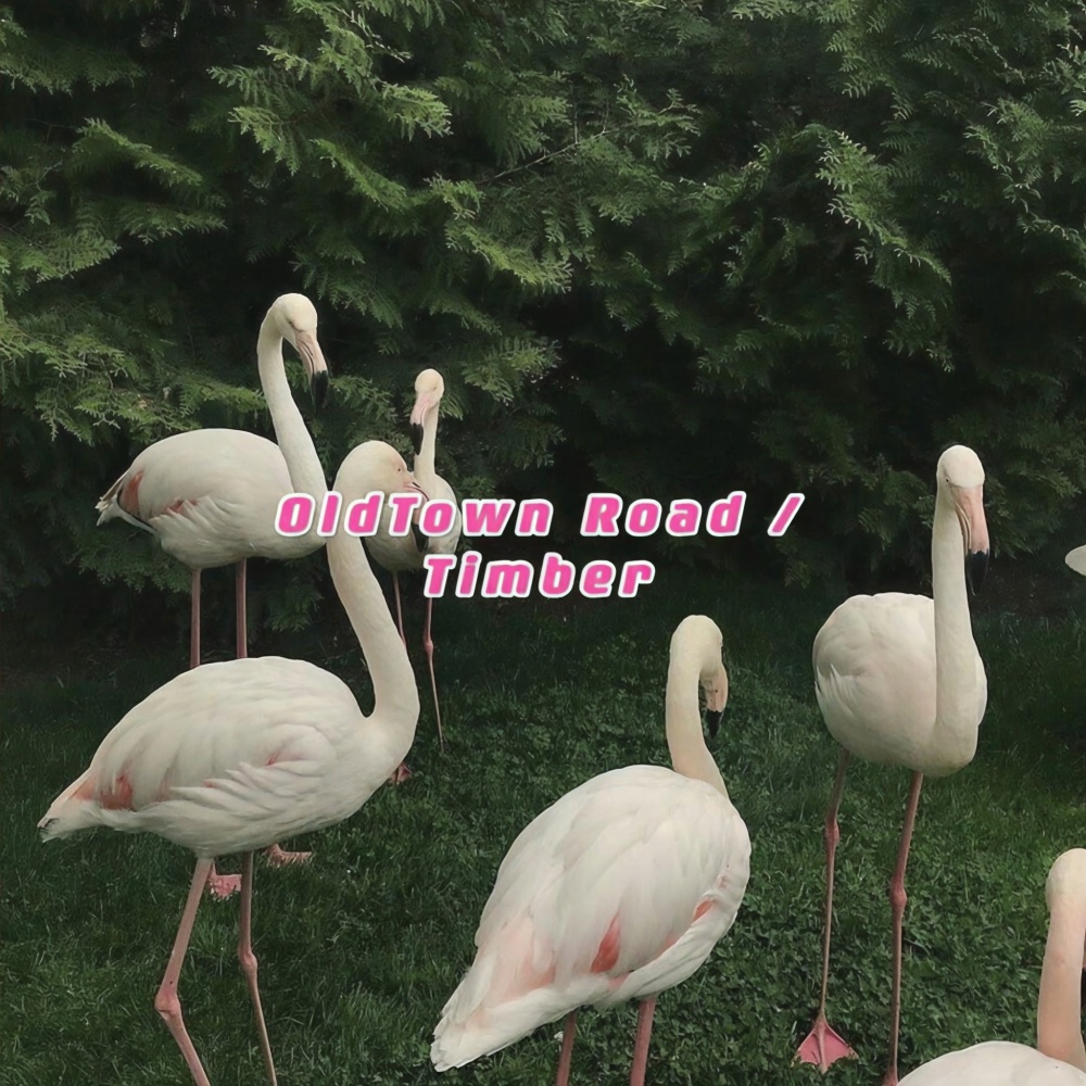 Lil Nas X-Old Town Road / Timber (2021) (张鹤方 / 9DIUZ / SKGYR remix)