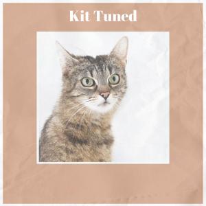 Various的专辑Kit Tuned