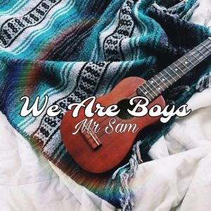Album We Are Boys from Mr Sam