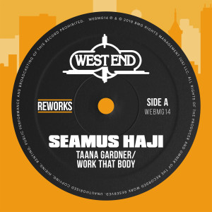 ดาวน์โหลดและฟังเพลง Work That Body (Seamus Haji Reworks) พร้อมเนื้อเพลงจาก Taana Gardner