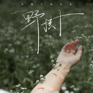 Listen to 野孩子 song with lyrics from 车厘子的车车