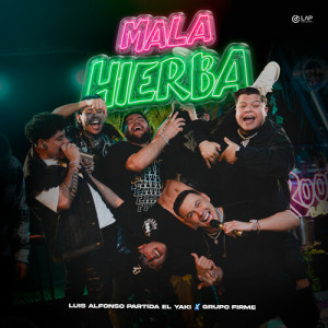 Listen to Mala Hierba (Explicit) song with lyrics from Luis Alfonso Partida El Yaki