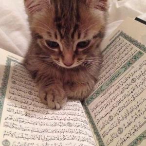 ดาวน์โหลดและฟังเพลง acid drop (Explicit) พร้อมเนื้อเพลงจาก RXFX