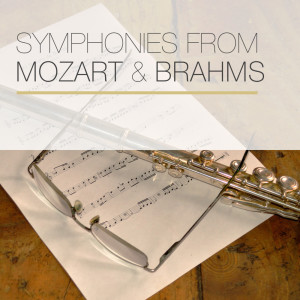 Dengarkan Sinfonia No. 2 in Re Maggiore, Op. 73 - Adagio non troppo lagu dari Johannes Brahms dengan lirik