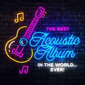 Various的專輯The Best Acoustic Album In The World...Ever! (Explicit)