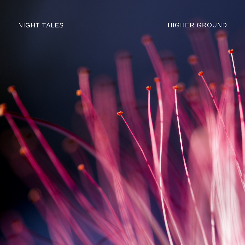 Higher Ground (Original Mix)