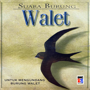 Dengarkan Suara Burung Walet (Kicau Mengundang Burung Walet) lagu dari Aneka Burung IMC dengan lirik