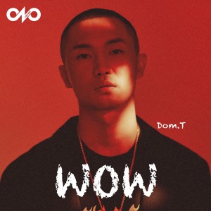 Listen to WOW song with lyrics from Dom.T