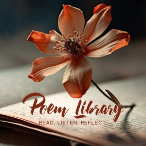 Soft Reading Music的專輯Poem Library (Read, Listen, Reflect, Pages of Melodies)