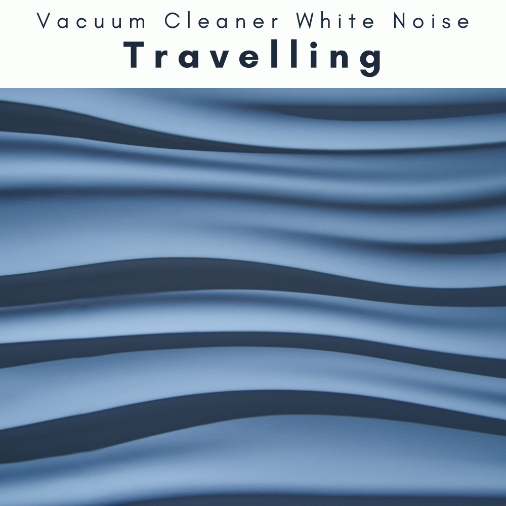 Journey of Noise Music with Birds
