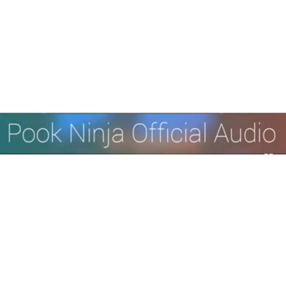 Pook Ninja (feat. Pook Ninja) (Explicit)