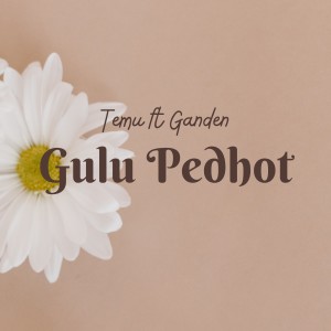 Album Gulu Pedhot oleh Temu