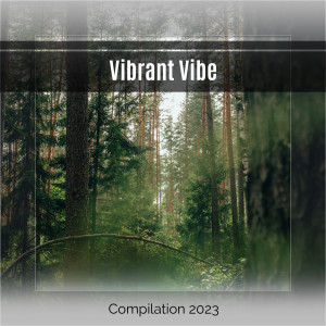 Various的專輯Vibrant Vibe