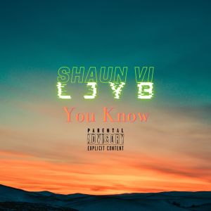 Listen to You Know (Explicit) song with lyrics from Shaun VI