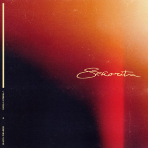 收聽Shawn Mendes的Señorita歌詞歌曲
