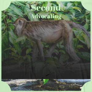 Listen to Complimentary song with lyrics from Keit Feres