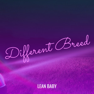 Listen to Different Breed (Explicit) song with lyrics from Lean Baby