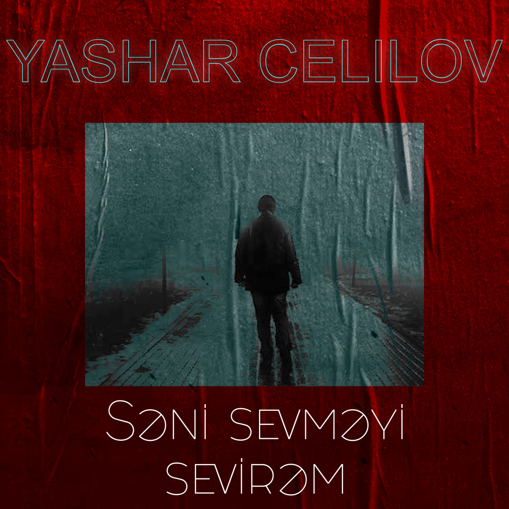 Səni Sevməyi Sevirəm