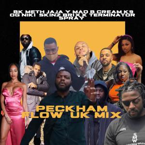 Album Peckham Flow UK Mix (feat. Young Spray, Young Meth, Ice Cream, Young Mad B, K9 Hackney, Brixx, Skinz, Terminator, OG Niki & Jaja Soze) (Explicit) from Ice Cream