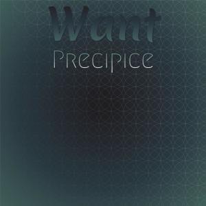 ดาวน์โหลดและฟังเพลง Want Precipice พร้อมเนื้อเพลงจาก Roxa Ebus