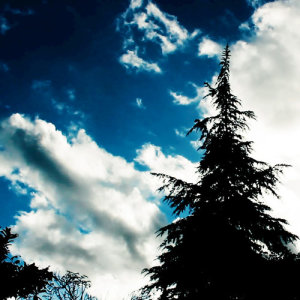 ดาวน์โหลดและฟังเพลง Clouds พร้อมเนื้อเพลงจาก Amadeus Lovecraft