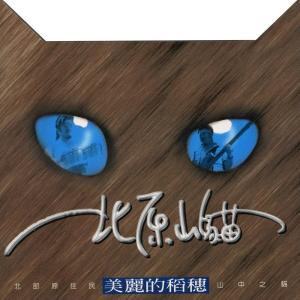 收听北原山猫的試試看歌词歌曲