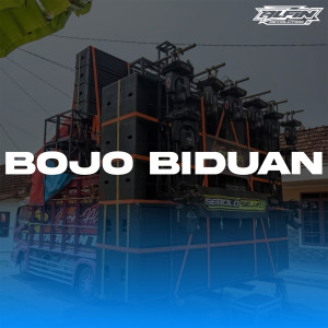 Dengarkan Bojo Biduan lagu dari ALFIN REVOLUTION dengan lirik
