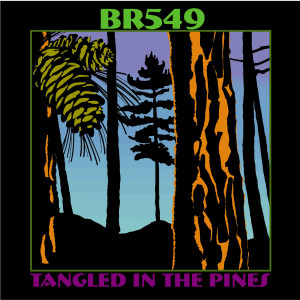 Br549的專輯Tangled In The Pines