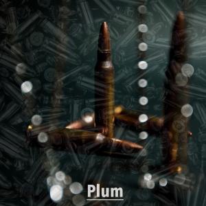 Listen to Plum song with lyrics from Melissa