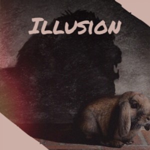 Album Illusion (Explicit) oleh Various Artists