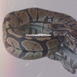 Album Crawling King Snake from 